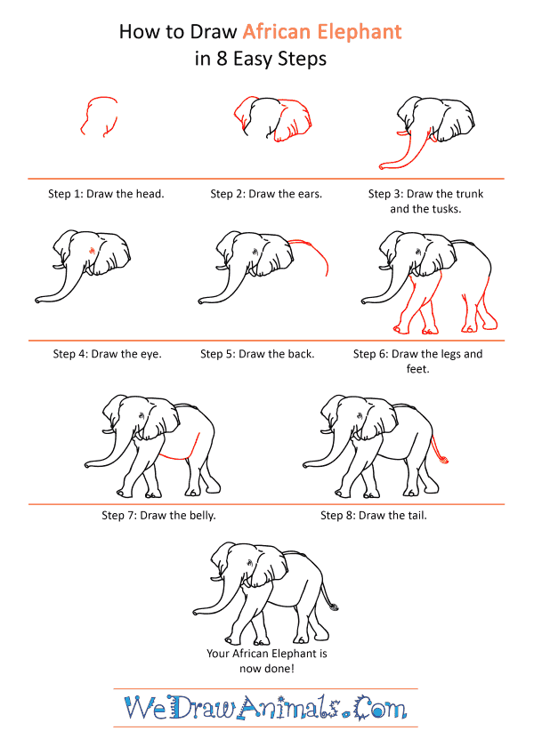 How to Draw a Realistic African Elephant - Step-by-Step Tutorial