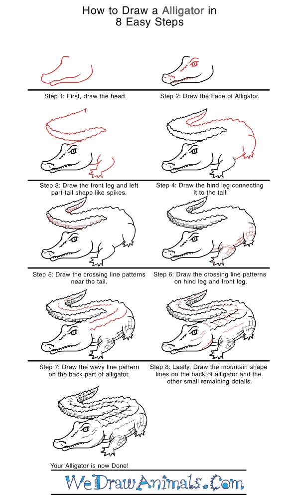 How to Draw a Realistic Alligator - Step-by-Step Tutorial