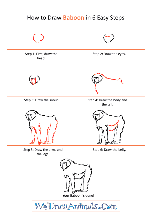 How to Draw a Realistic Baboon - Step-by-Step Tutorial