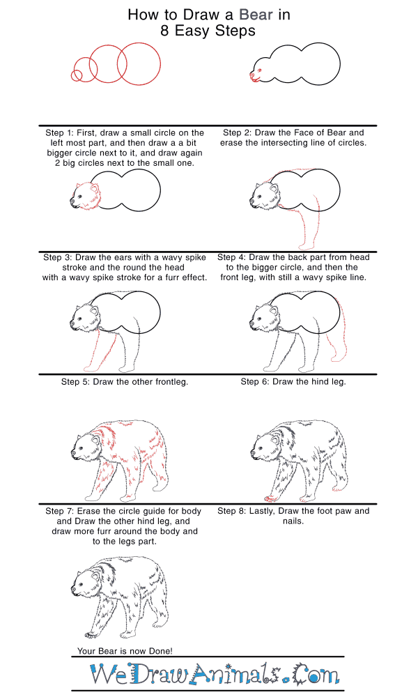 How to Draw a Realistic Bear - Step-by-Step Tutorial