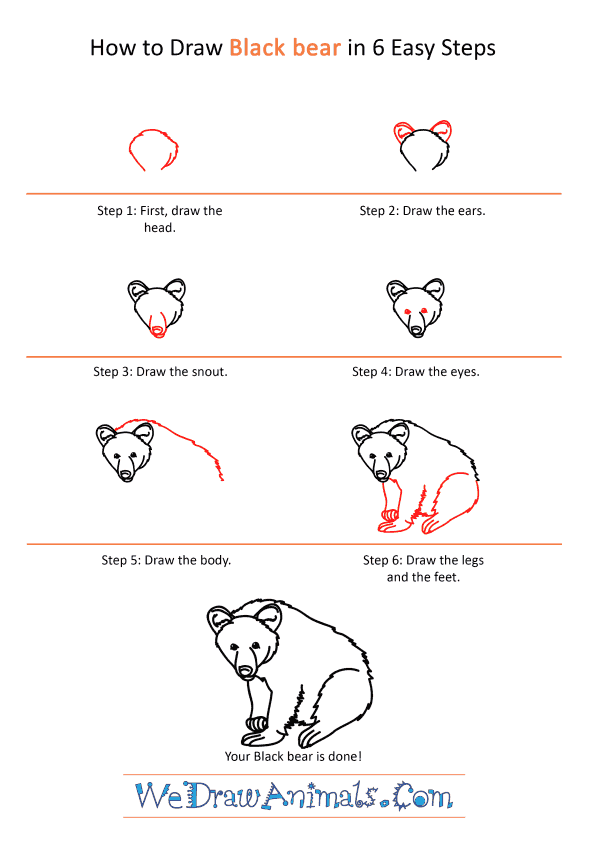 How to Draw a Realistic Black Bear - Step-by-Step Tutorial