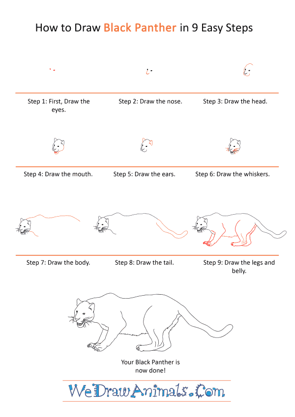 How to Draw a Realistic Black Panther - Step-by-Step Tutorial