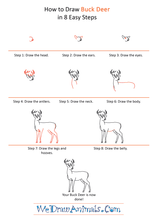 How to Draw a Realistic Buck Deer - Step-by-Step Tutorial