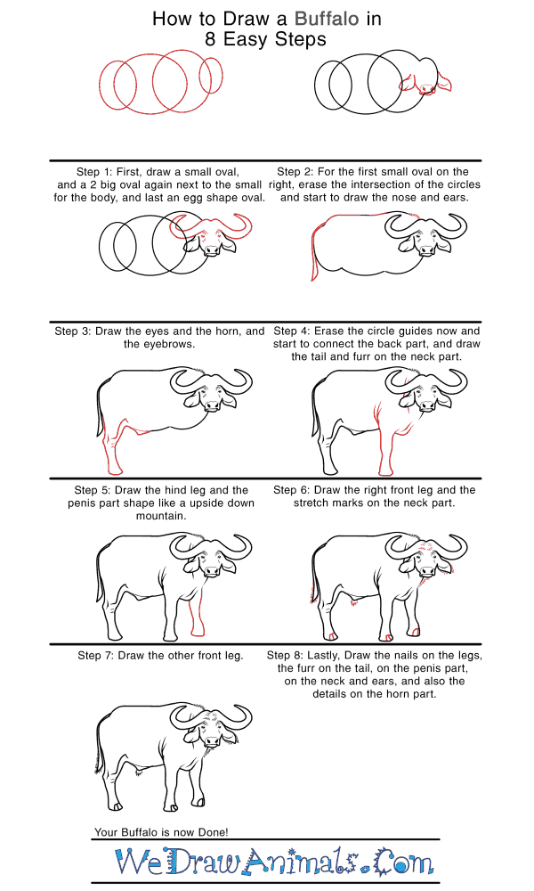 How to Draw a Realistic Buffalo - Step-by-Step Tutorial