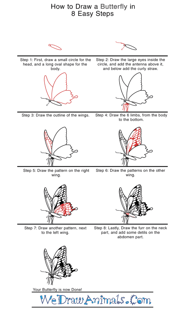 How to Draw a Realistic Butterfly - Step-by-Step Tutorial