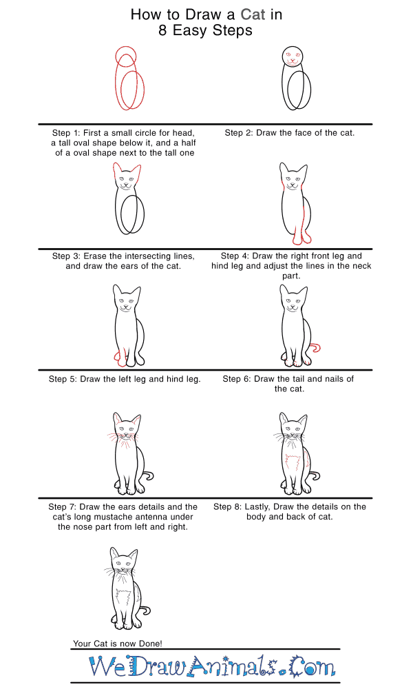 How to Draw a Realistic Cat - Step-by-Step Tutorial