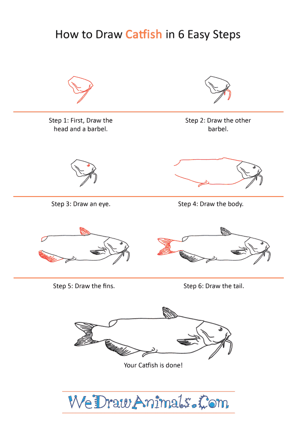 How to Draw a Realistic Catfish - Step-by-Step Tutorial