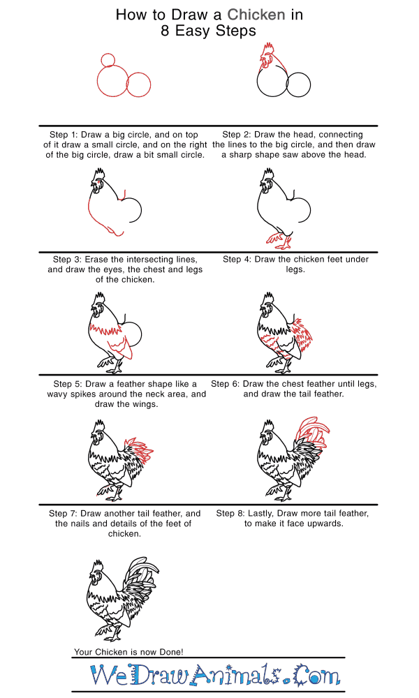 How to Draw a Realistic Chicken - Step-by-Step Tutorial
