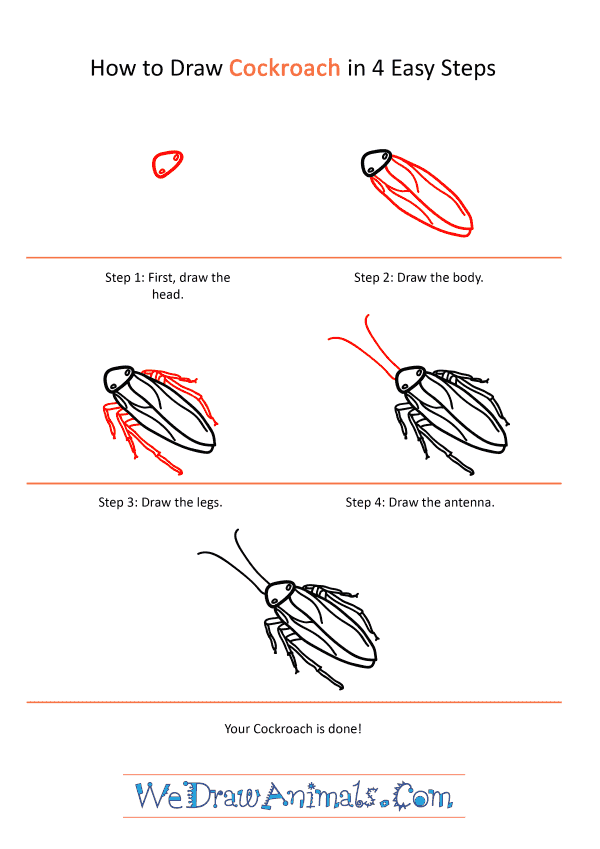 How to Draw a Realistic Cockroach - Step-by-Step Tutorial