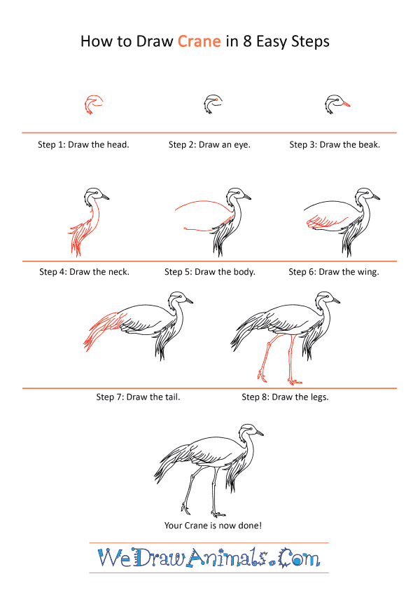 How to Draw a Realistic Crane - Step-by-Step Tutorial