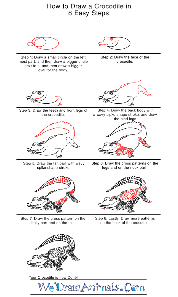 How to Draw a Realistic Crocodile - Step-by-Step Tutorial