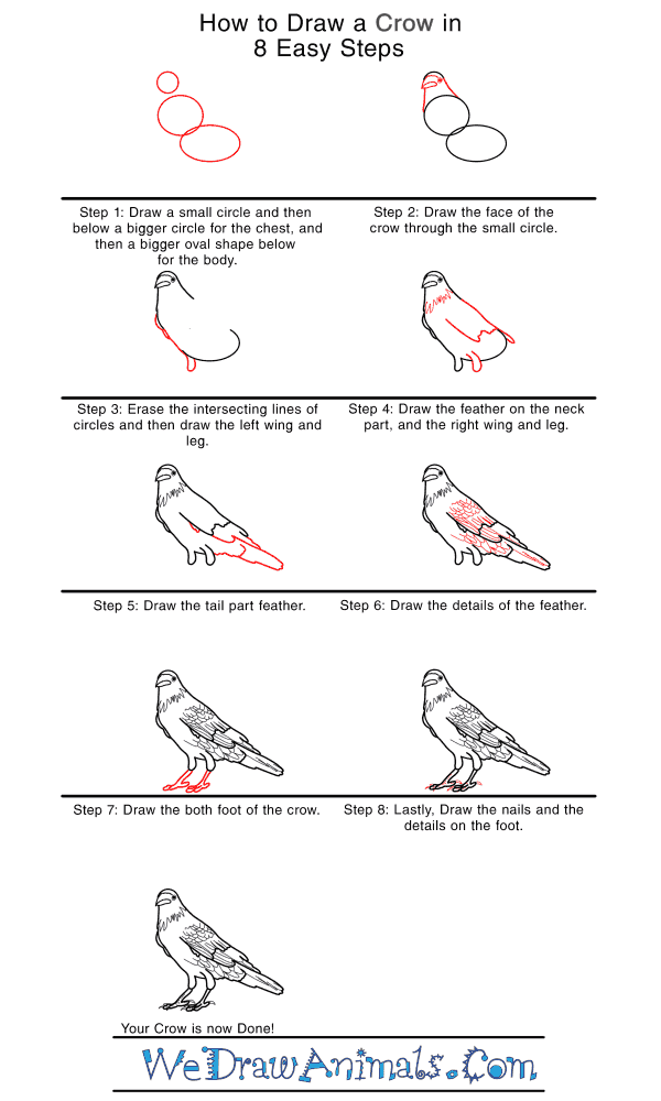 How to Draw a Realistic Crow - Step-by-Step Tutorial