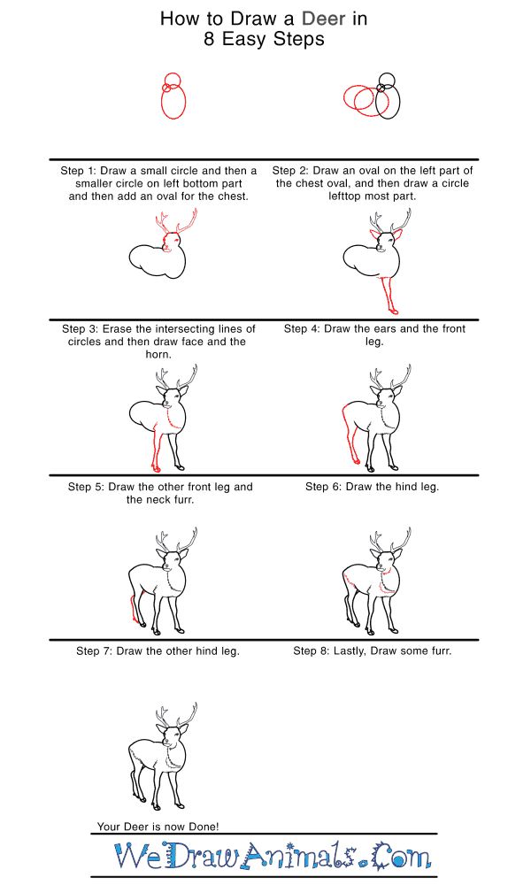 How to Draw a Realistic Deer - Step-by-Step Tutorial