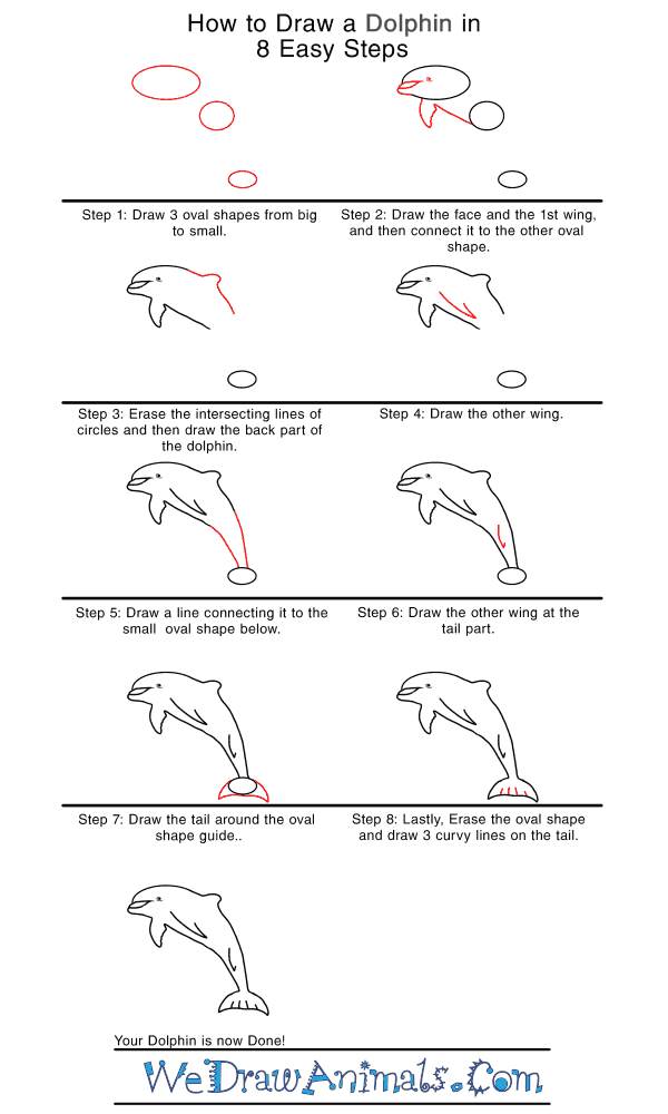 How to Draw a Realistic Dolphin - Step-by-Step Tutorial
