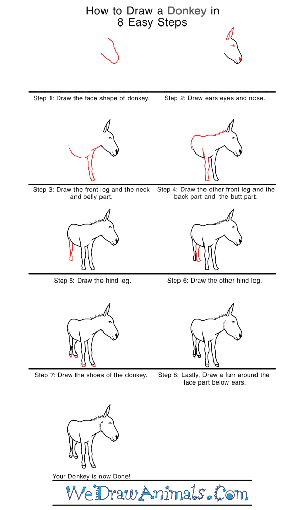 How to Draw a Realistic Donkey - Step-by-Step Tutorial
