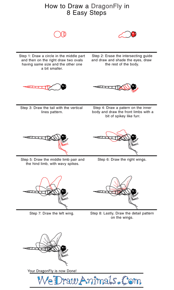 How to Draw a Realistic Dragonfly - Step-by-Step Tutorial