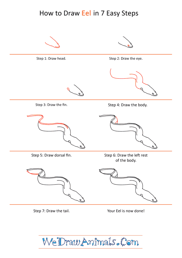 How to Draw a Realistic Eel - Step-by-Step Tutorial