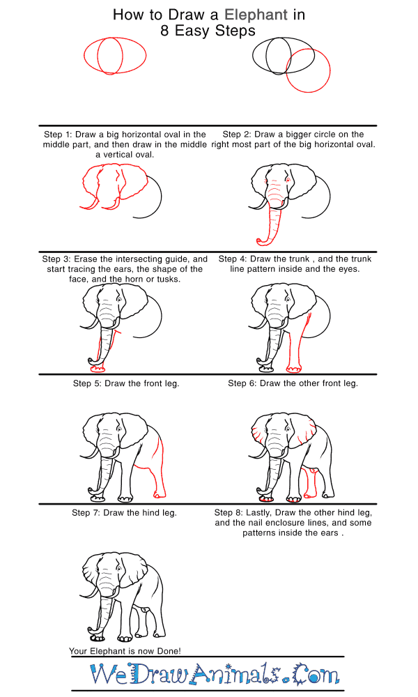 How to Draw a Realistic Elephant - Step-by-Step Tutorial