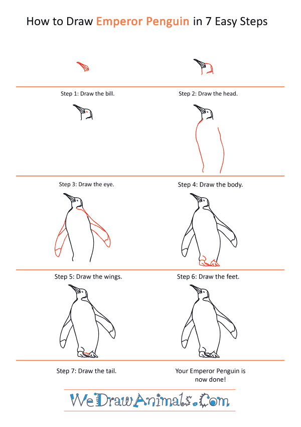 How to Draw a Realistic Emperor Penguin - Step-by-Step Tutorial