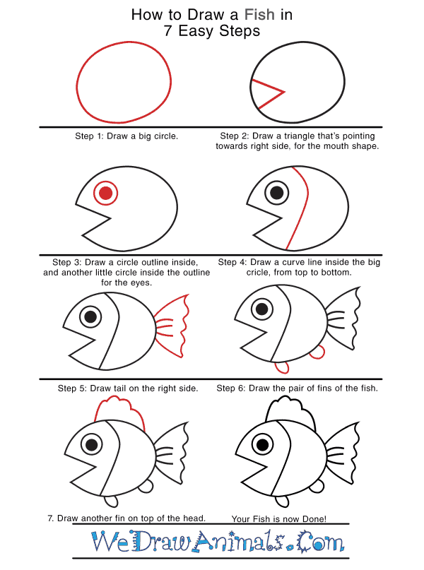 Fish Drawing - How To Draw A Fish Step By Step