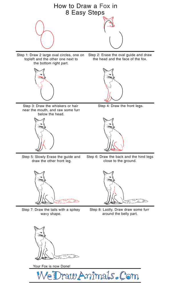 How to Draw a Realistic Fox - Step-by-Step Tutorial