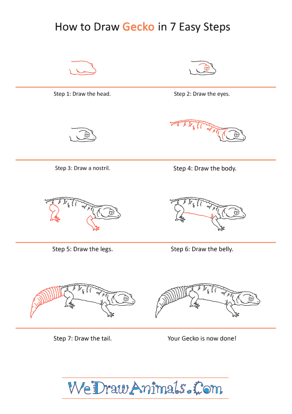 How to Draw a Realistic Gecko - Step-by-Step Tutorial