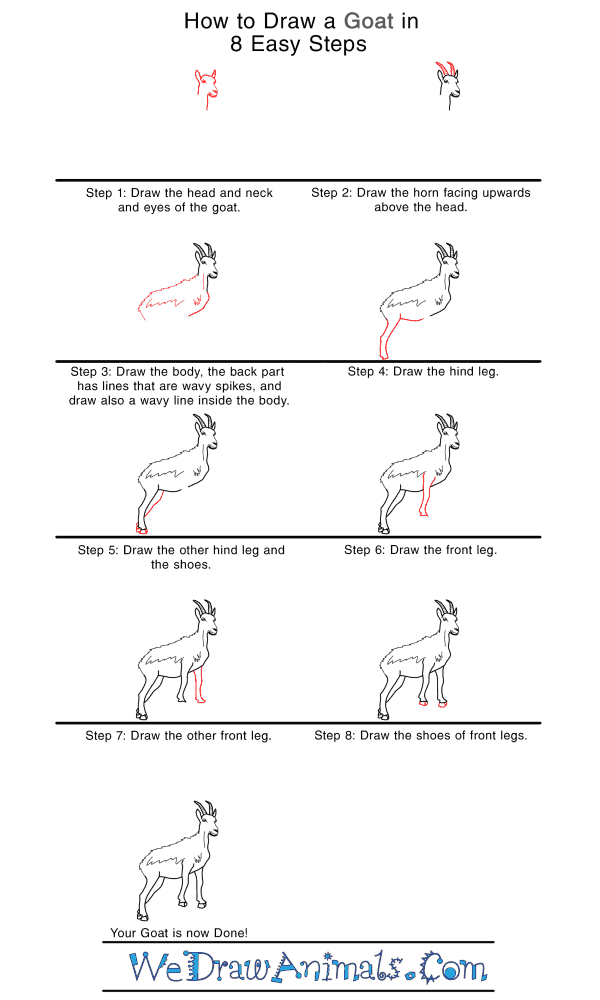 How to Draw a Realistic Goat - Step-by-Step Tutorial