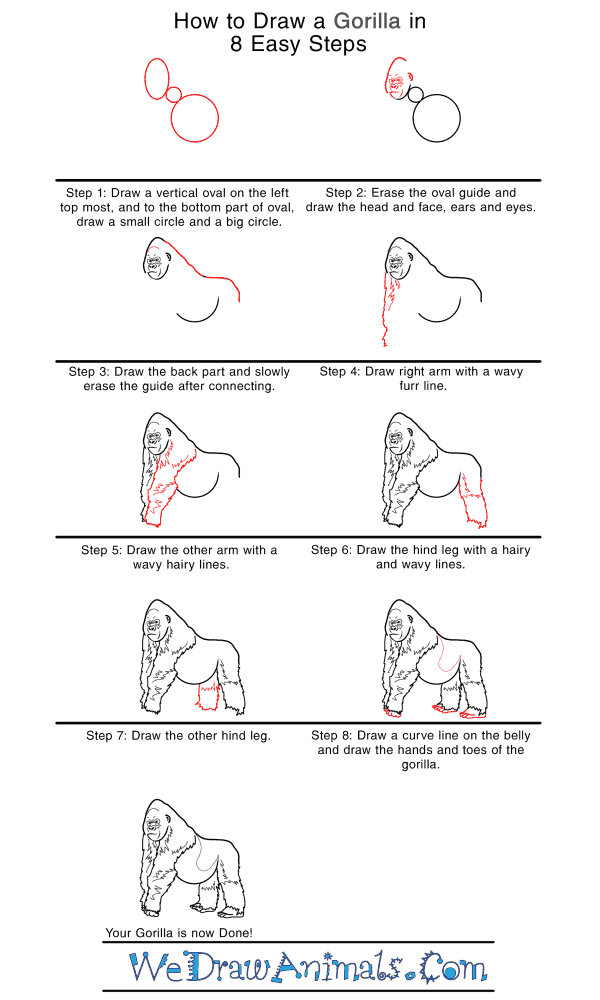 How to Draw a Realistic Gorilla - Step-by-Step Tutorial