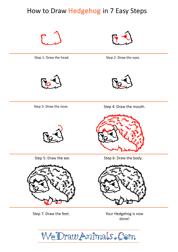 How to Draw a Realistic Hedgehog - Step-by-Step Tutorial