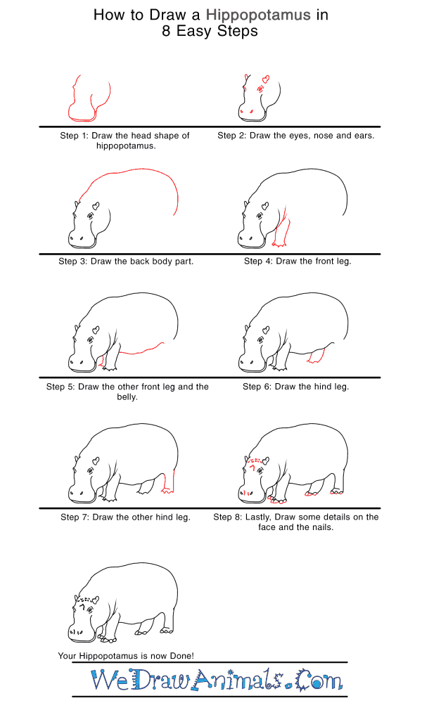 How to Draw a Realistic Hippopotamus - Step-by-Step Tutorial