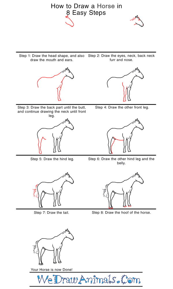 How to Draw a Realistic Horse - Step-by-Step Tutorial