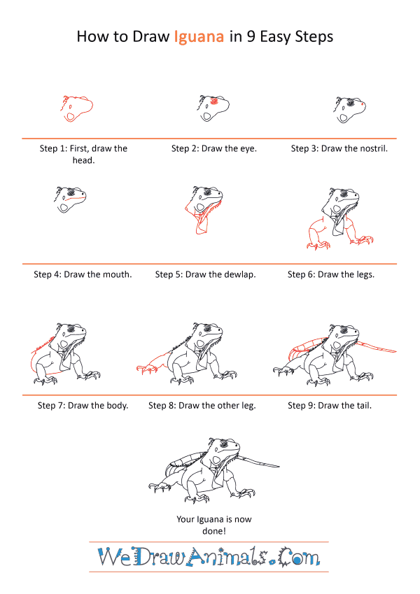 How to Draw a Realistic Iguana - Step-by-Step Tutorial