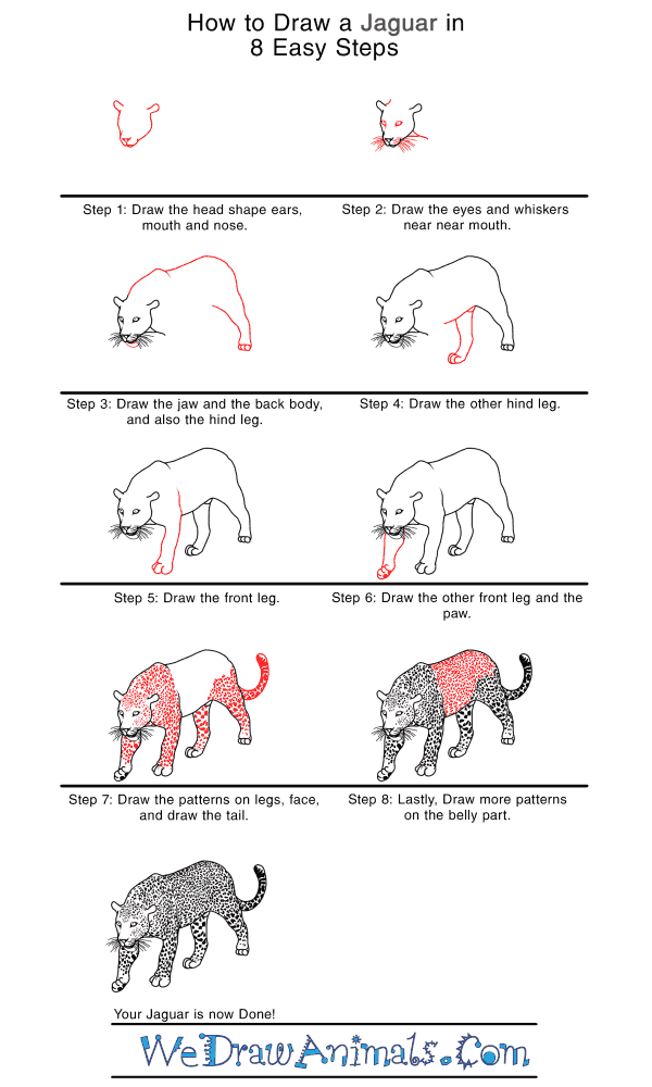 How to Draw a Realistic Jaguar - Step-by-Step Tutorial