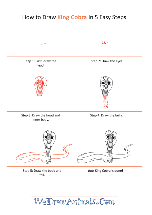 How to Draw a Realistic King Cobra - Step-by-Step Tutorial