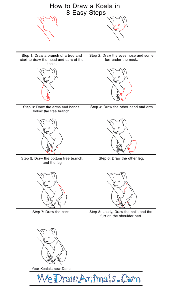 How to Draw a Realistic Koala - Step-by-Step Tutorial