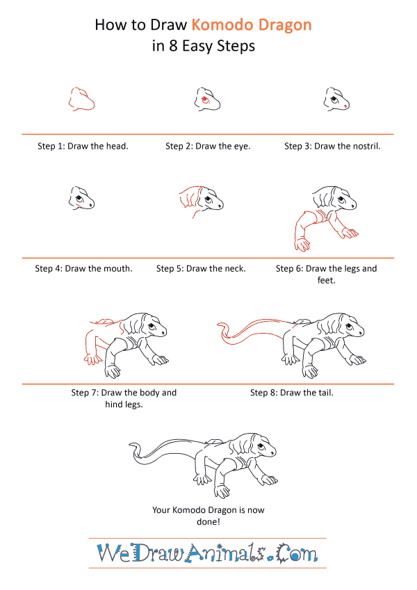 How to Draw a Realistic Komodo Dragon - Step-by-Step Tutorial