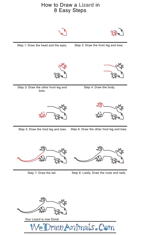 How to Draw a Realistic Lizard - Step-by-Step Tutorial