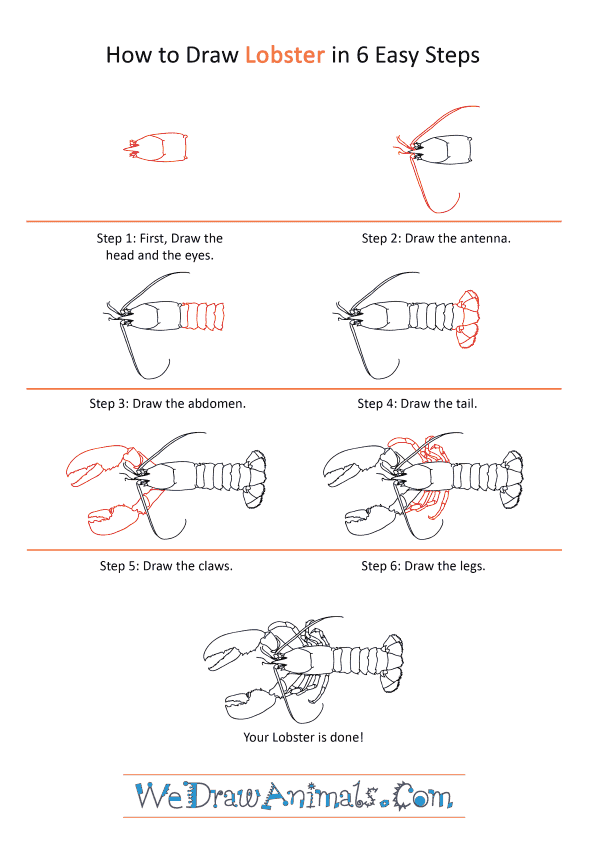 How to Draw a Realistic Lobster - Step-by-Step Tutorial