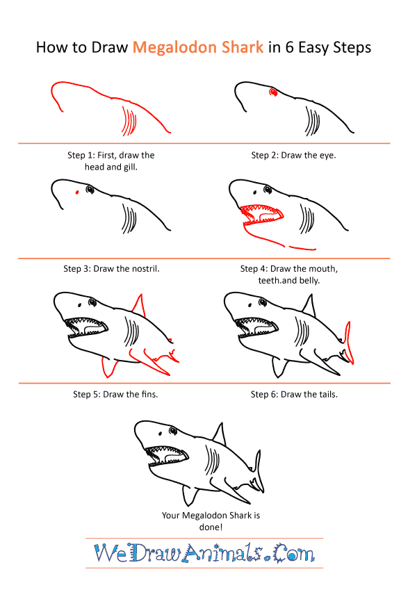 How to Draw a Realistic Megalodon Shark - Step-by-Step Tutorial