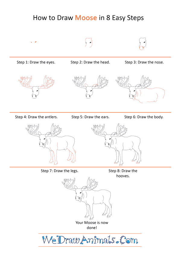 How to Draw a Realistic Moose - Step-by-Step Tutorial