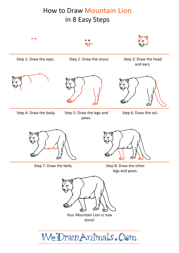 How to Draw a Realistic Mountain Lion - Step-by-Step Tutorial