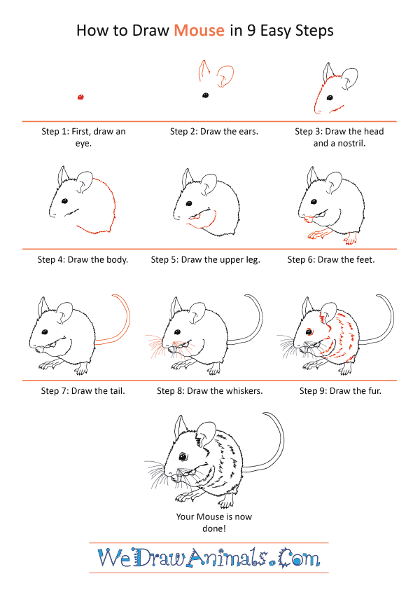 How to Draw a Realistic Mouse - Step-by-Step Tutorial