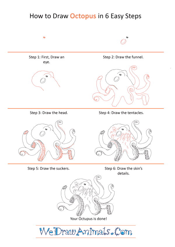 How to Draw a Realistic Octopus - Step-by-Step Tutorial
