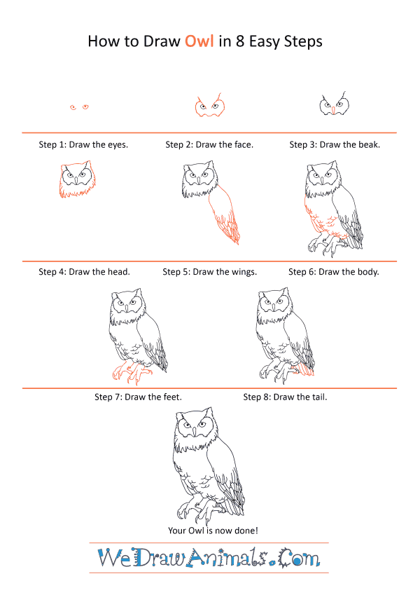 How to Draw a Realistic Owl - Step-by-Step Tutorial