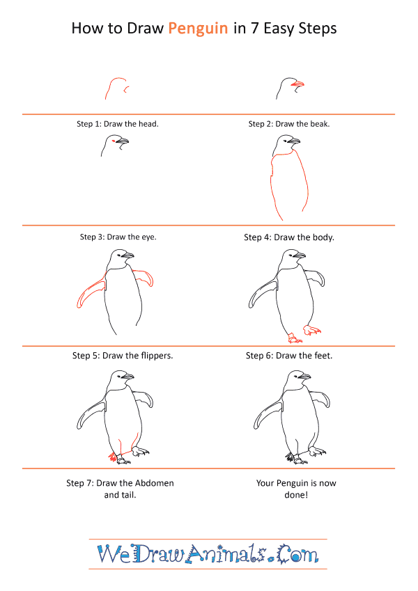 How to Draw a Realistic Penguin - Step-by-Step Tutorial