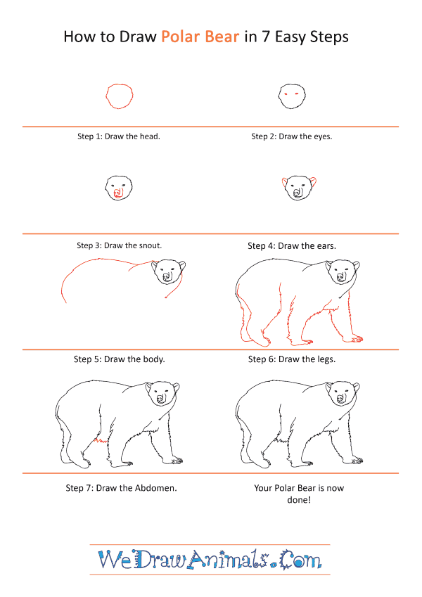 How to Draw a Realistic Polar Bear - Step-by-Step Tutorial