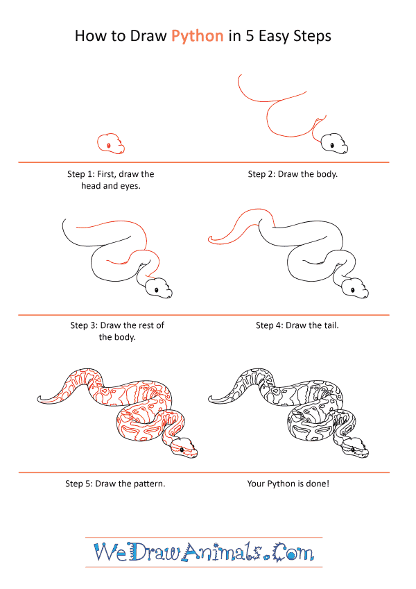 How to Draw a Realistic Python - Step-by-Step Tutorial