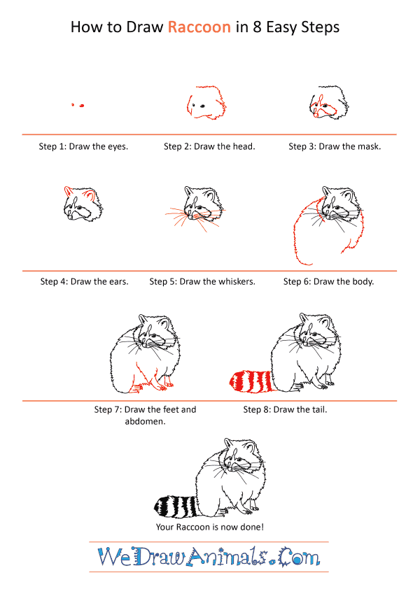 How to Draw a Realistic Raccoon - Step-by-Step Tutorial