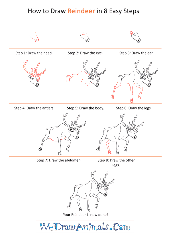 How to Draw a Realistic Reindeer - Step-by-Step Tutorial