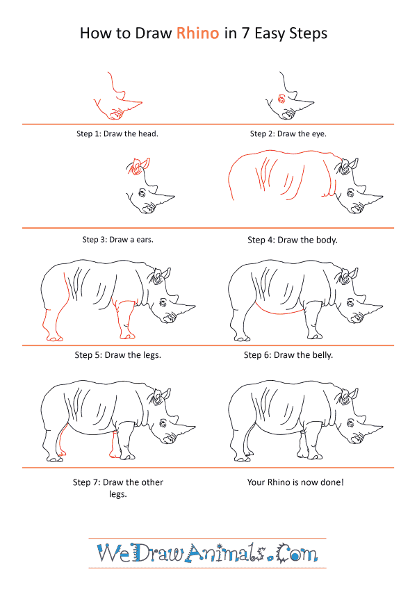 How to Draw a Realistic Rhino - Step-by-Step Tutorial